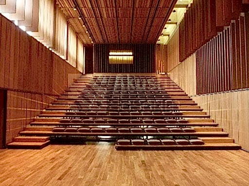 Akustik Ahşap Panel